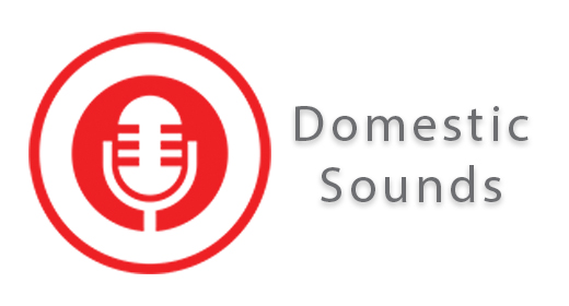 Domestic Sounds