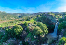 Golan Heights.